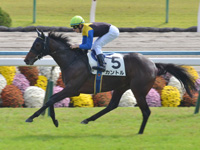 未勝利　ゴール前