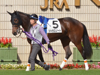 未勝利（牝）　パドック