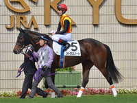 未勝利（牝）　パドック（騎乗周）