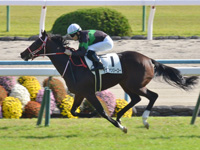 新馬　ゴール前