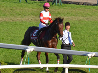 第53回 デイリー杯２歳Ｓ（ＧII）　本馬場入場