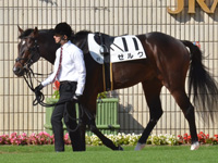 未勝利　パドック