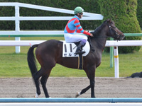 未勝利　本馬場入場