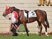 新馬（牝）　パドック