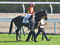 本馬場入場