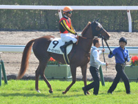 未勝利　本馬場入場