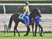 新馬　本馬場入場
