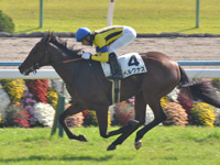 新馬　ゴール前