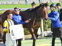 新馬　口取り