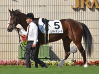 新馬　パドック