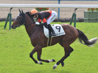 未勝利　キャンター