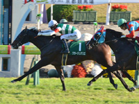 第5回 京都2歳ステークス（ＧIII）　ゴール前