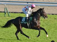 第5回 京都2歳ステークス（ＧIII）　キャンター