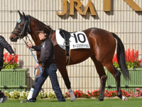 新馬　パドック
