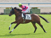 新馬　キャンター