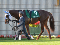第5回 京都2歳ステークス（ＧIII）　パドック