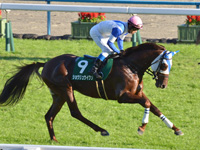 第5回 京都2歳ステークス（ＧIII）　キャンター