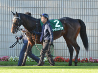 第5回 京都2歳ステークス（ＧIII）　パドック