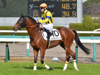 新馬　本馬場入場