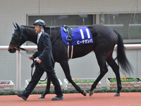 第70回 阪神ジュベナイルフィリーズ（ＧＩ）　パドック