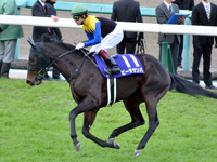第70回 阪神ジュベナイルフィリーズ（ＧＩ）　本馬場入場