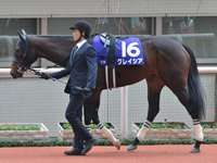 第70回 阪神ジュベナイルフィリーズ（ＧＩ）　パドック