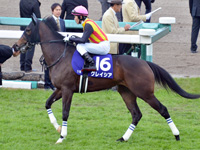 第70回 阪神ジュベナイルフィリーズ（ＧＩ）　本馬場入場