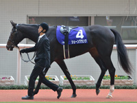 第70回 阪神ジュベナイルフィリーズ（ＧＩ）　パドック