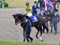第70回 阪神ジュベナイルフィリーズ（ＧＩ）　本馬場入場