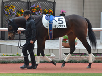 未勝利　パドック
