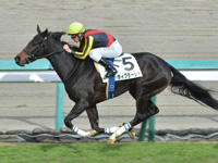 新馬　ゴール前
