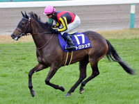 第70回 阪神ジュベナイルフィリーズ（ＧＩ）　キャンター