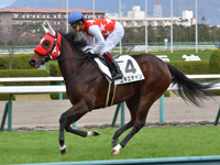 新馬　キャンター