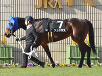 紅梅ステークス（Ｌ）　パドック
