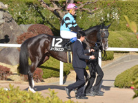 本馬場入場