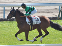 新馬　キャンター