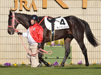 未勝利　パドック