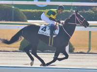 未勝利　キャンター