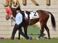 未勝利　パドック