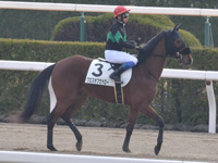 未勝利　本馬場入場