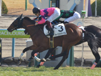 未勝利　ゴール前