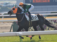 未勝利　キャンター