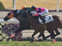 未勝利　ゴール前（内2着）