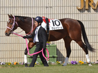 新馬　パドック