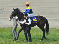 第79回 桜花賞（ＧＩ）　本馬場入場