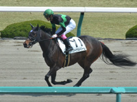 未勝利　キャンター