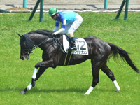未勝利　キャンター