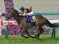 第79回 桜花賞（ＧＩ）　ゴール前