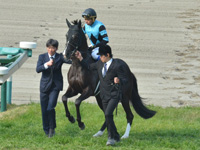 本馬場入場