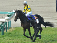 第79回 桜花賞（ＧＩ）　本馬場入場